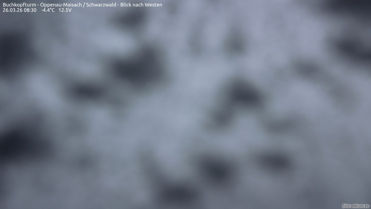 Archiv Foto Webcam Buchkopfturm - Oppenau-Maisach/Schwarzwald - Blick nach Westen