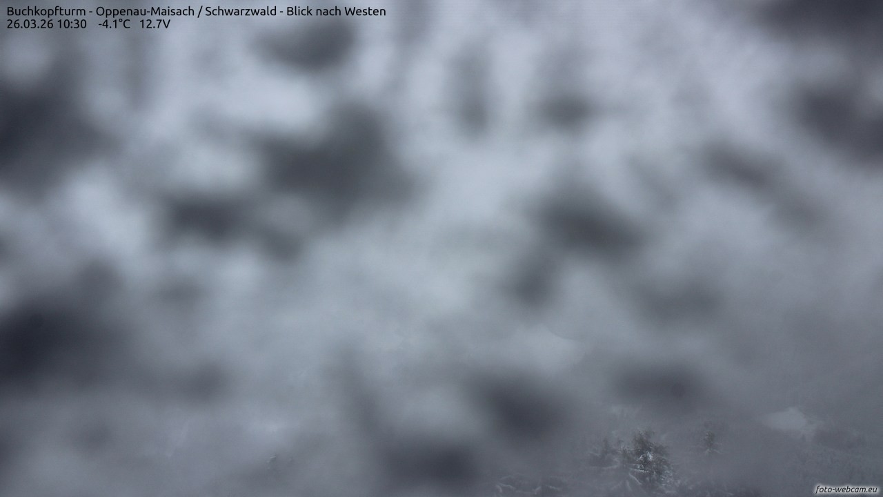 Archiv Foto Webcam Buchkopfturm - Oppenau-Maisach/Schwarzwald - Blick nach Westen