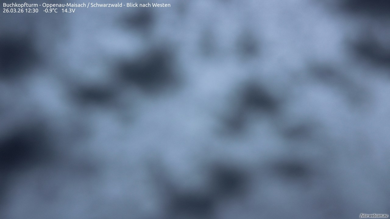 Archiv Foto Webcam Buchkopfturm - Oppenau-Maisach/Schwarzwald - Blick nach Westen