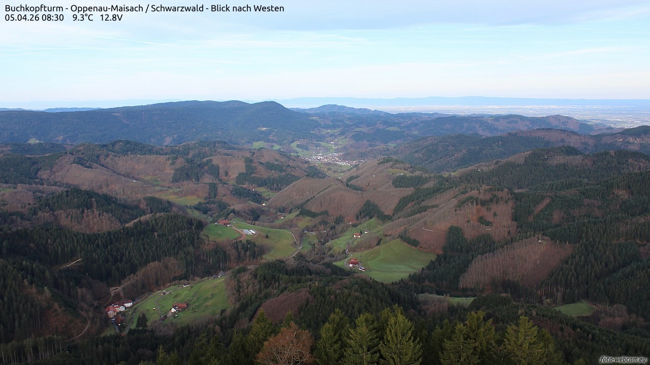 Archiv Foto Webcam Buchkopfturm - Oppenau-Maisach/Schwarzwald - Blick nach Westen