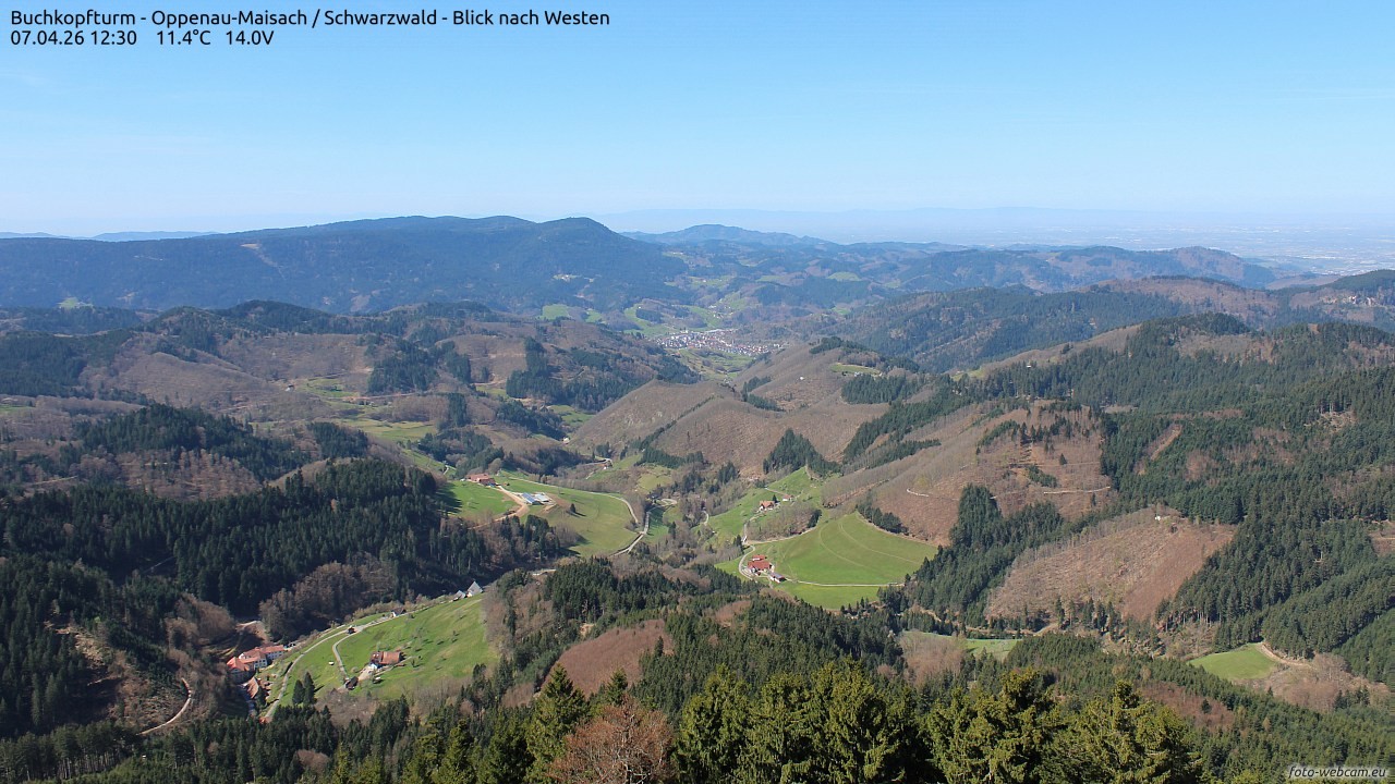 Archiv Foto Webcam Buchkopfturm - Oppenau-Maisach/Schwarzwald - Blick nach Westen