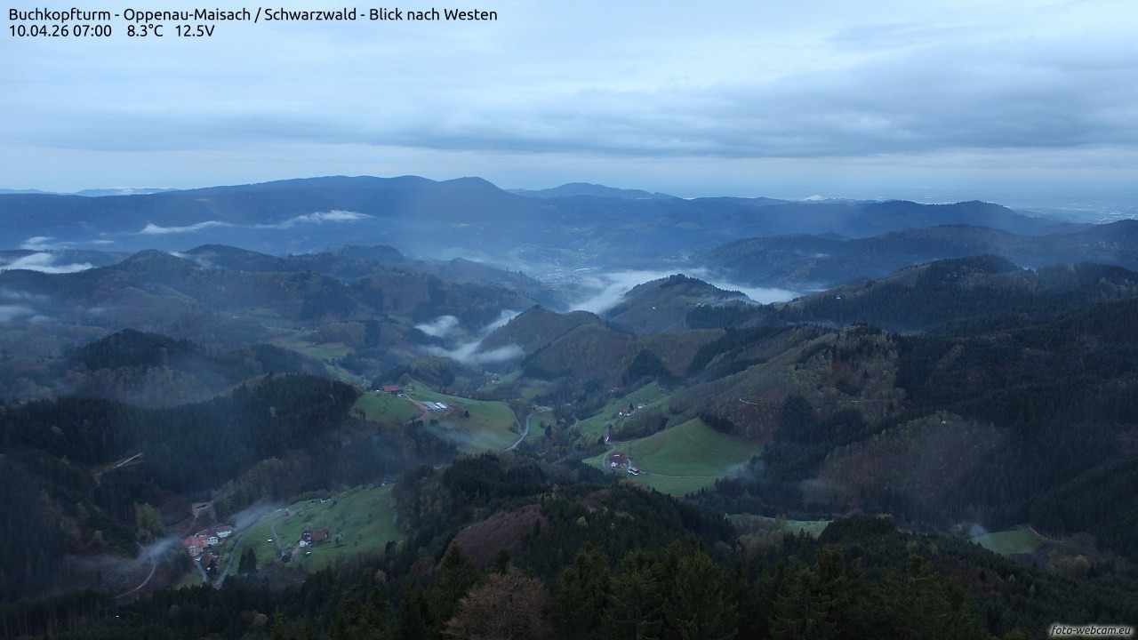 Archiv Foto Webcam Buchkopfturm - Oppenau-Maisach/Schwarzwald - Blick nach Westen