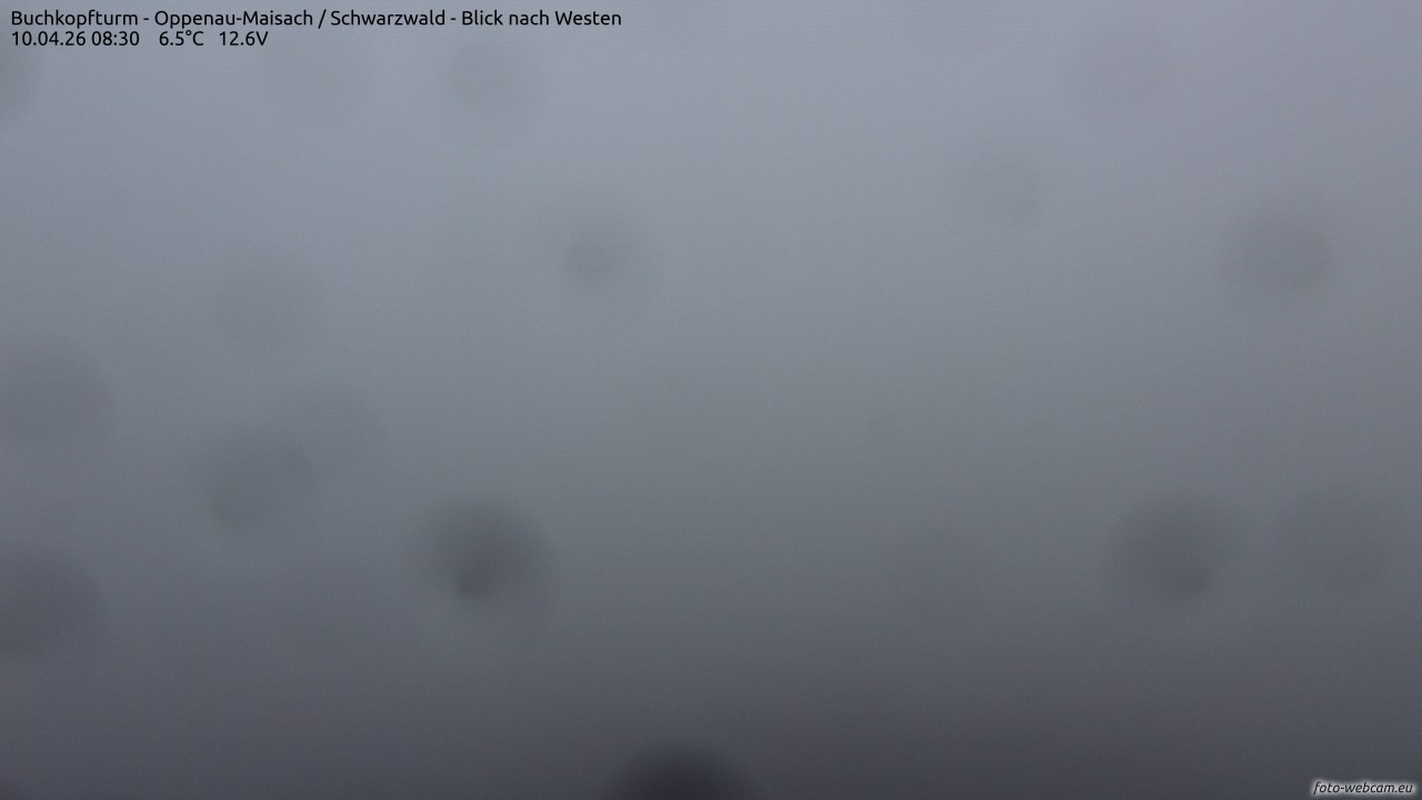 Archiv Foto Webcam Buchkopfturm - Oppenau-Maisach/Schwarzwald - Blick nach Westen
