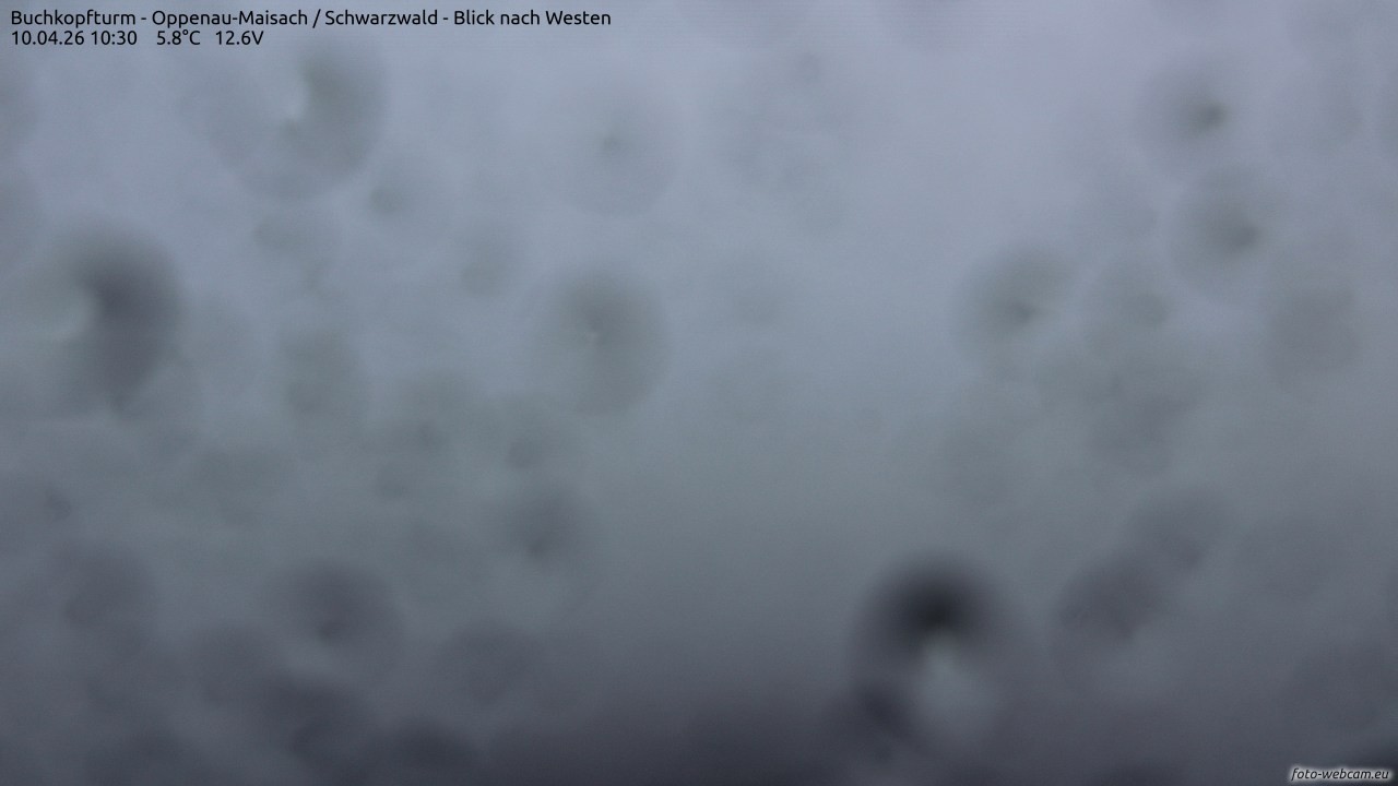 Archiv Foto Webcam Buchkopfturm - Oppenau-Maisach/Schwarzwald - Blick nach Westen