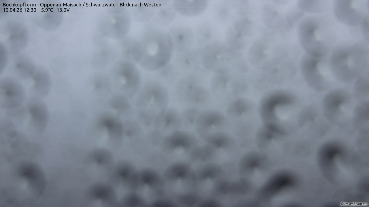 Archiv Foto Webcam Buchkopfturm - Oppenau-Maisach/Schwarzwald - Blick nach Westen