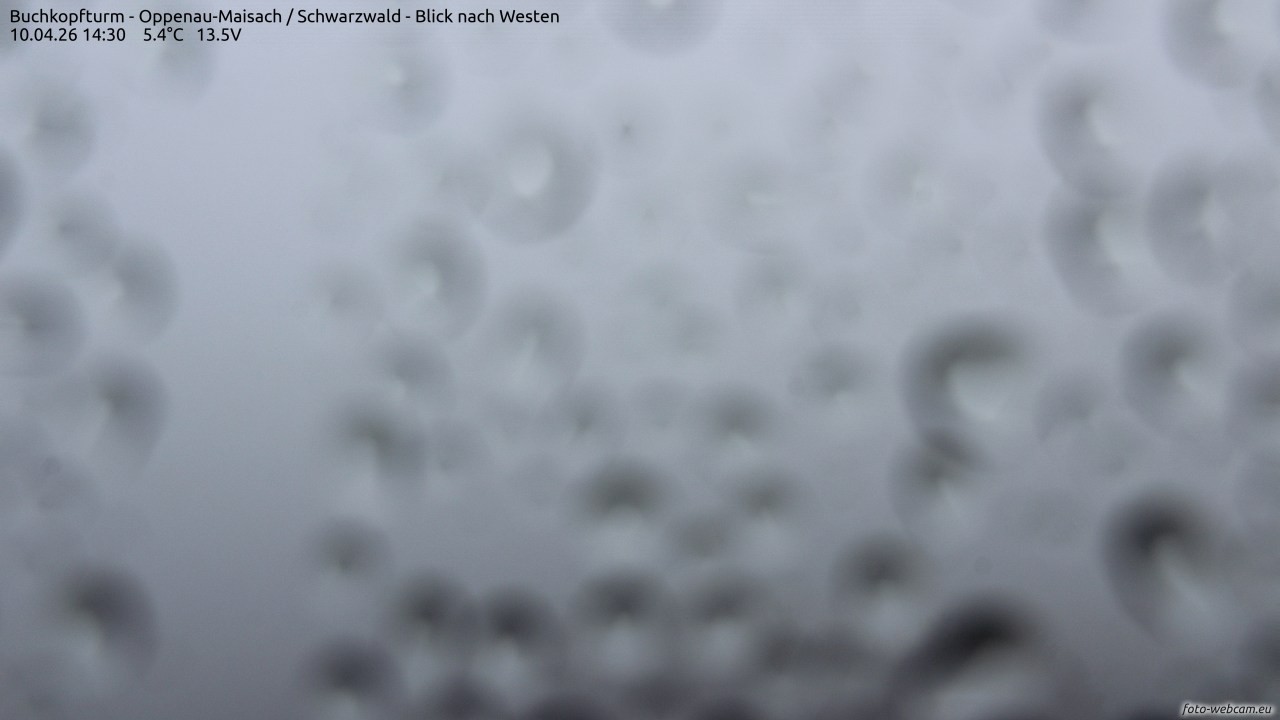 Archiv Foto Webcam Buchkopfturm - Oppenau-Maisach/Schwarzwald - Blick nach Westen