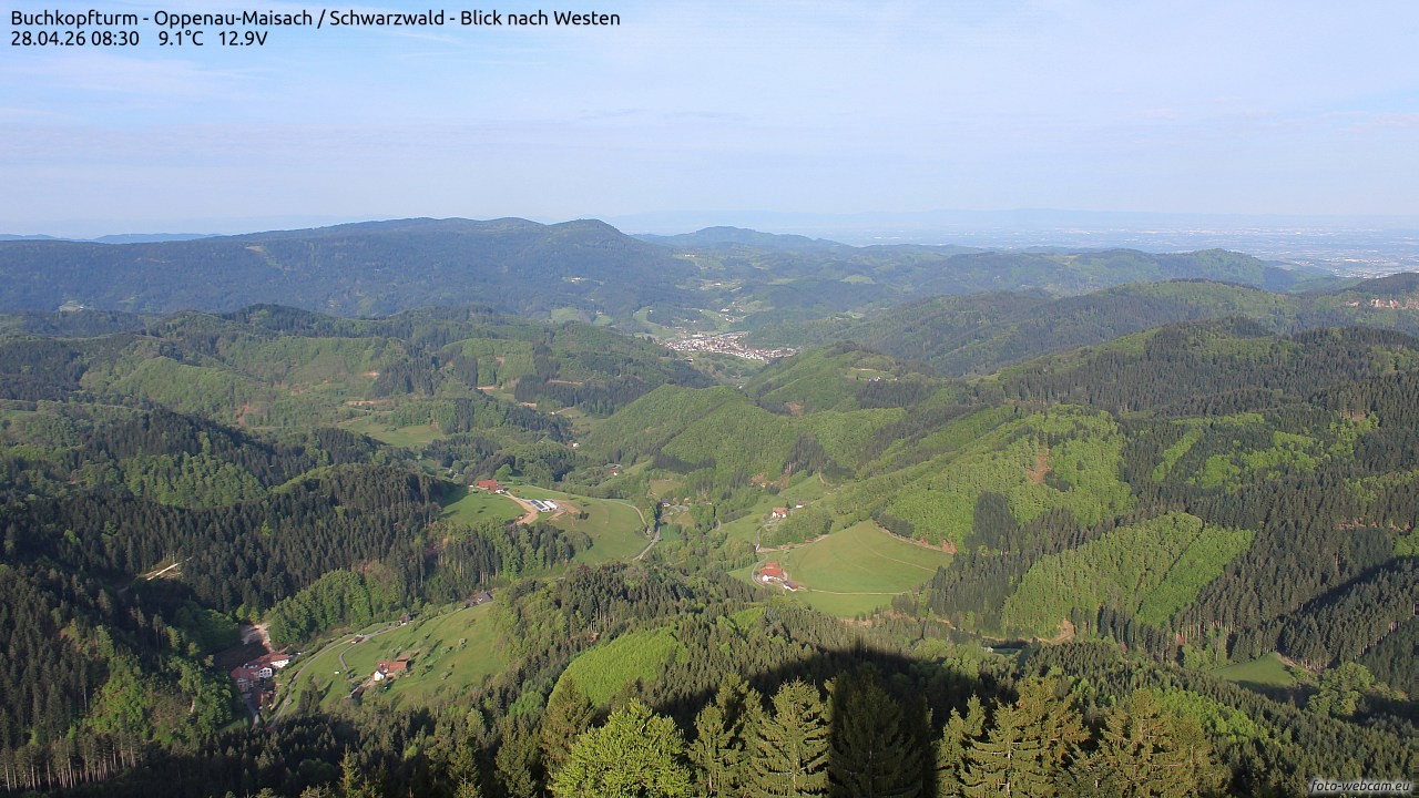 Archiv Foto Webcam Buchkopfturm - Oppenau-Maisach/Schwarzwald - Blick nach Westen