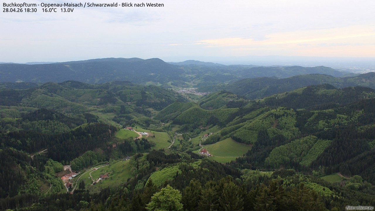Archiv Foto Webcam Buchkopfturm - Oppenau-Maisach/Schwarzwald - Blick nach Westen