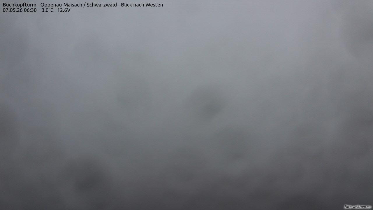 Archiv Foto Webcam Buchkopfturm - Oppenau-Maisach/Schwarzwald - Blick nach Westen