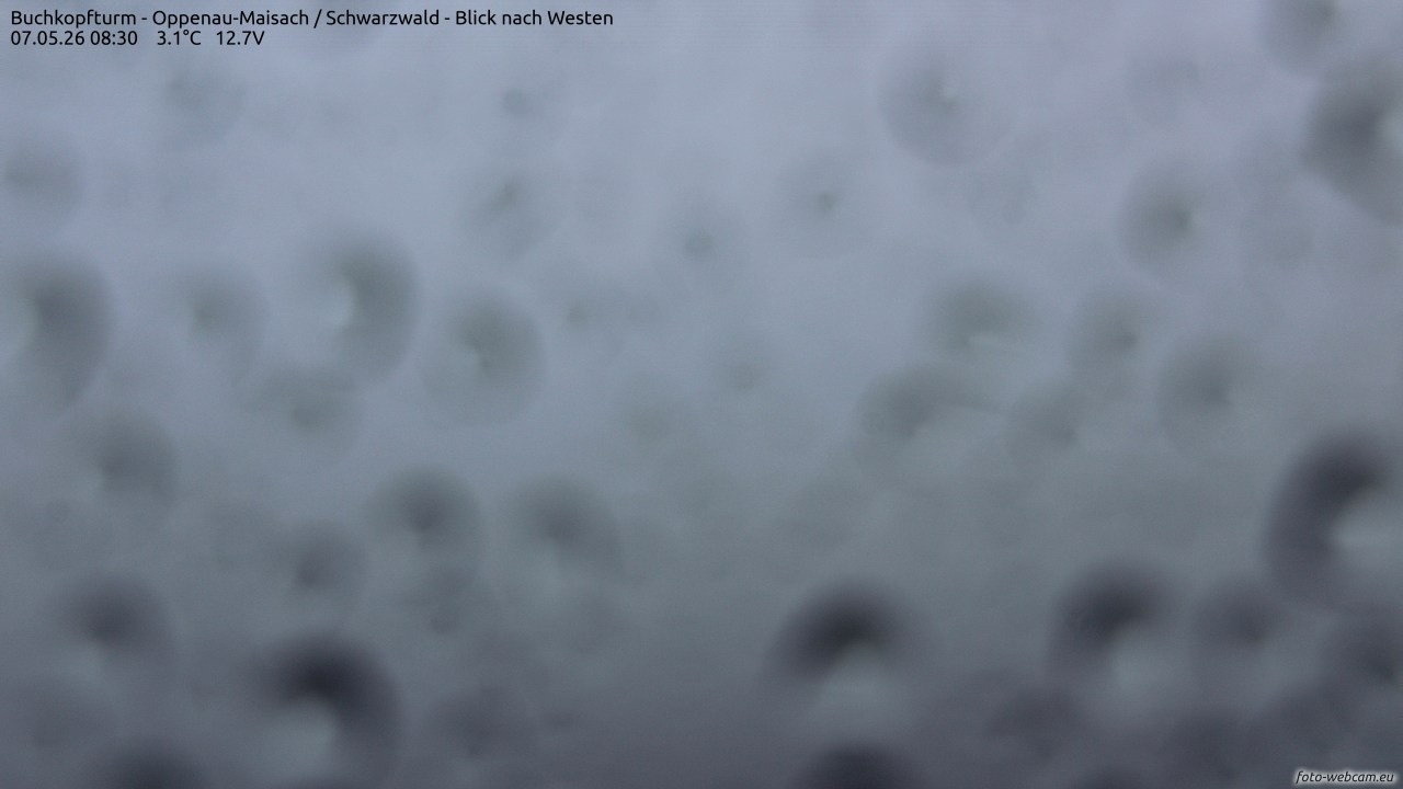 Archiv Foto Webcam Buchkopfturm - Oppenau-Maisach/Schwarzwald - Blick nach Westen