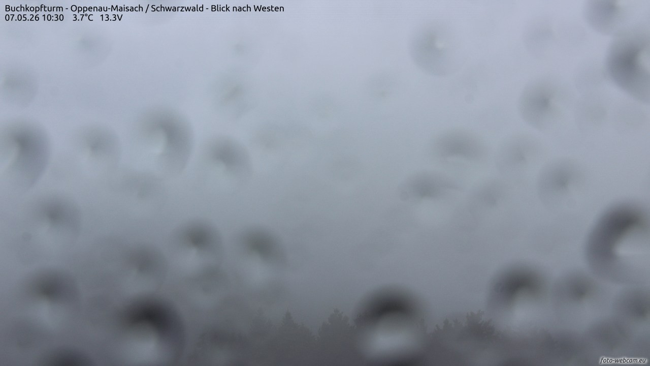 Archiv Foto Webcam Buchkopfturm - Oppenau-Maisach/Schwarzwald - Blick nach Westen
