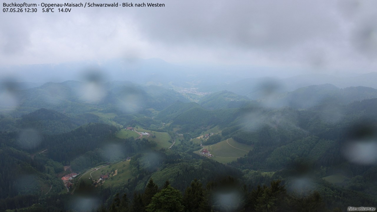 Archiv Foto Webcam Buchkopfturm - Oppenau-Maisach/Schwarzwald - Blick nach Westen