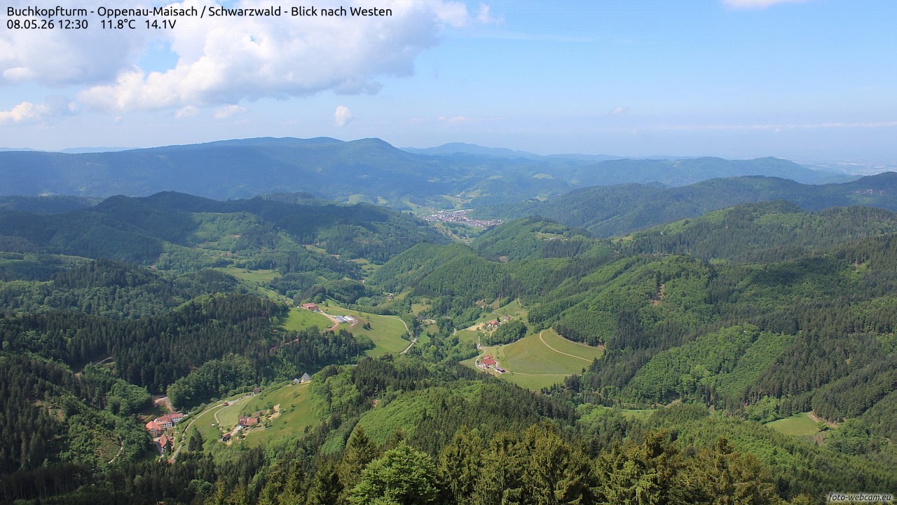 Archiv Foto Webcam Buchkopfturm - Oppenau-Maisach/Schwarzwald - Blick nach Westen