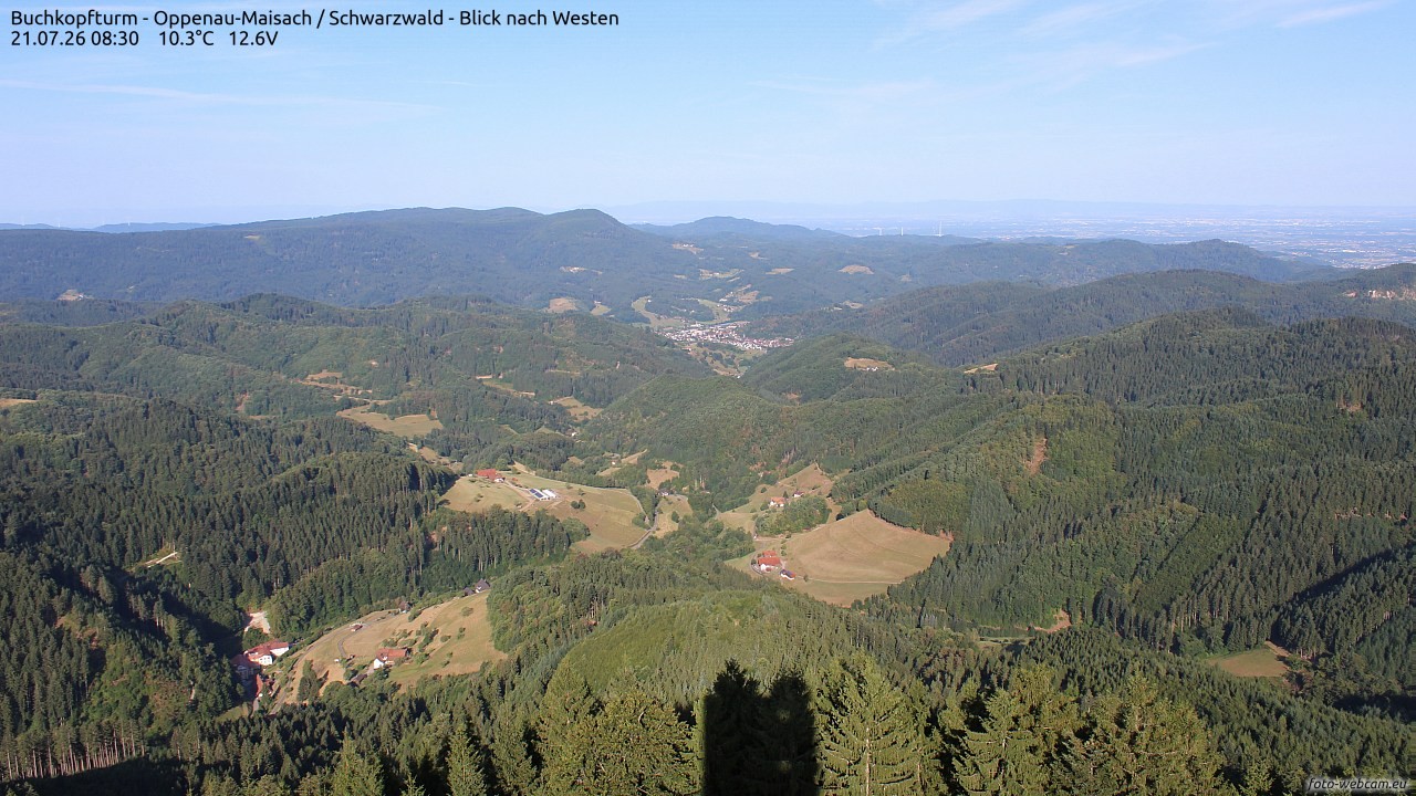 Archiv Foto Webcam Buchkopfturm - Oppenau-Maisach/Schwarzwald - Blick nach Westen