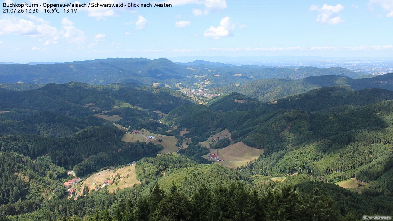Archiv Foto Webcam Buchkopfturm - Oppenau-Maisach/Schwarzwald - Blick nach Westen