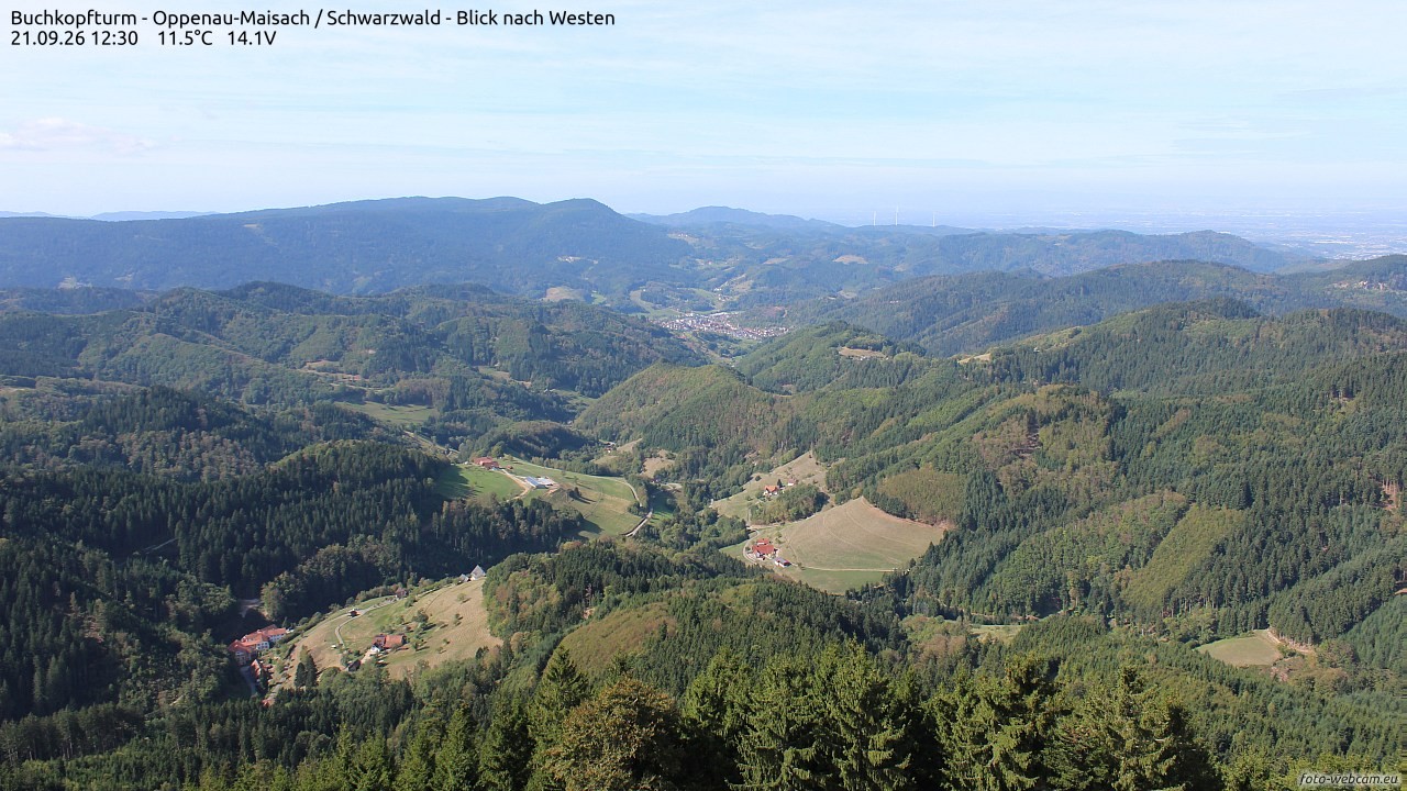 Archiv Foto Webcam Buchkopfturm - Oppenau-Maisach/Schwarzwald - Blick nach Westen