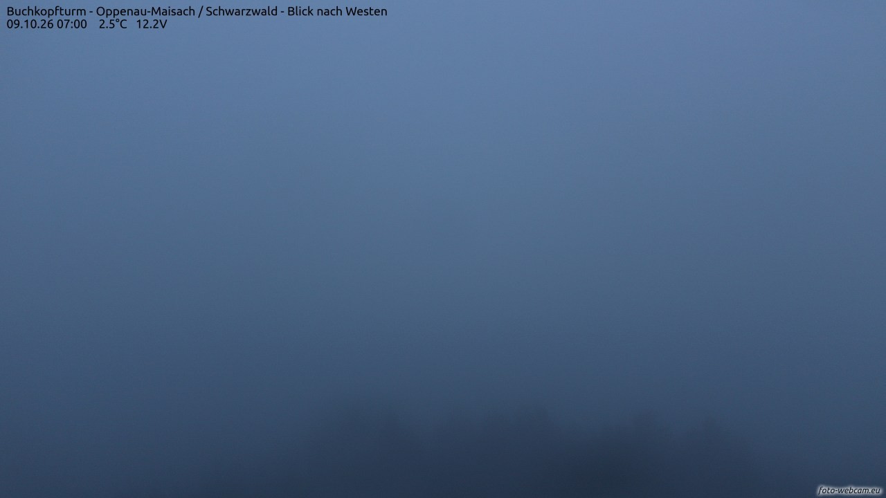 Archived image Webcam Buchkopfturm - Oppenau-Maisach/Black Forest - View to the West