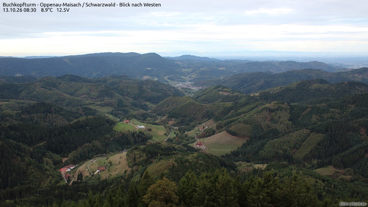 Archiv Foto Webcam Buchkopfturm - Oppenau-Maisach/Schwarzwald - Blick nach Westen