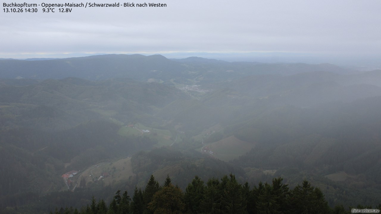 Archiv Foto Webcam Buchkopfturm - Oppenau-Maisach/Schwarzwald - Blick nach Westen