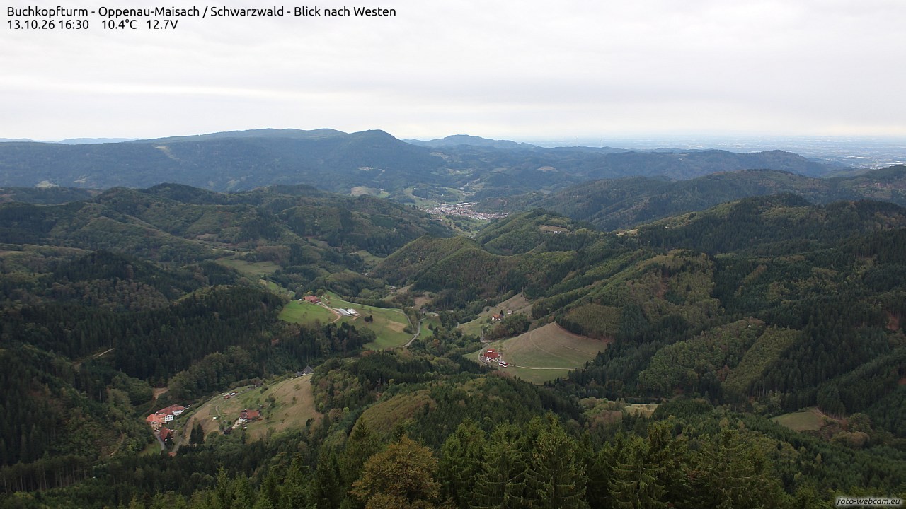 Archiv Foto Webcam Buchkopfturm - Oppenau-Maisach/Schwarzwald - Blick nach Westen