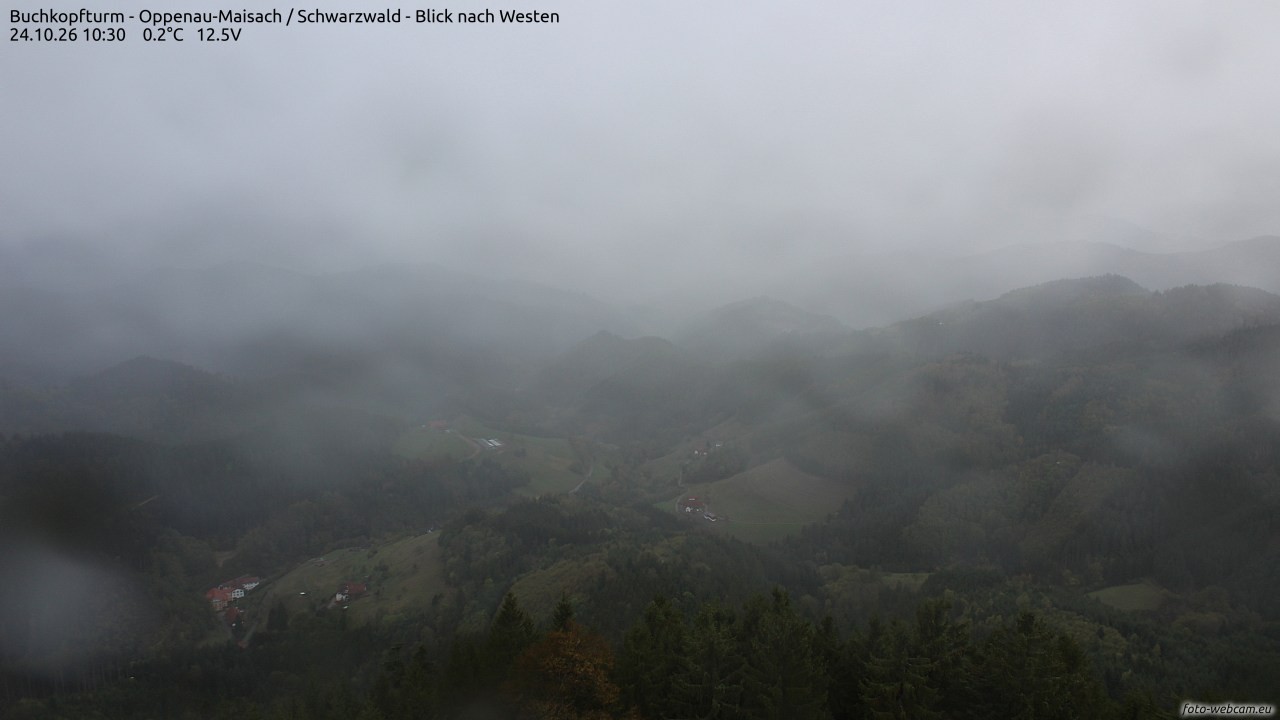 Archived image Webcam Buchkopfturm - Oppenau-Maisach/Black Forest - View to the West