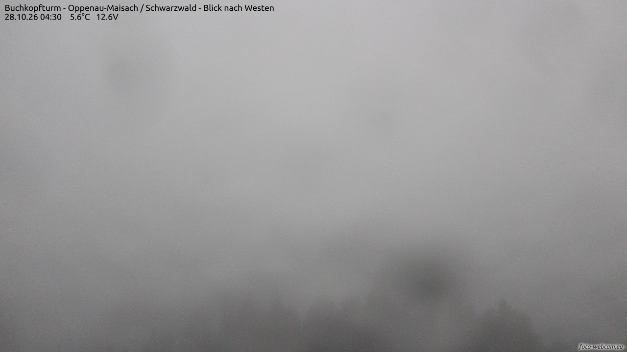 Archiv Foto Webcam Buchkopfturm - Oppenau-Maisach/Schwarzwald - Blick nach Westen