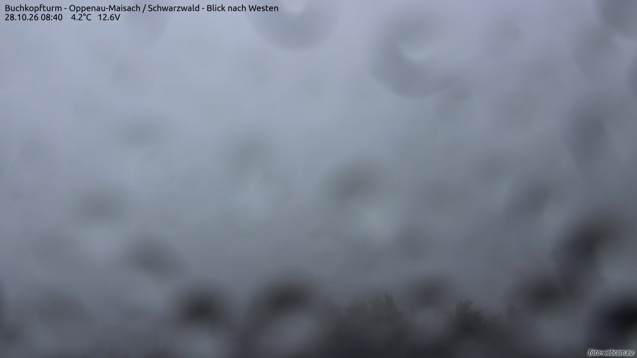 Archiv Foto Webcam Buchkopfturm - Oppenau-Maisach/Schwarzwald - Blick nach Westen