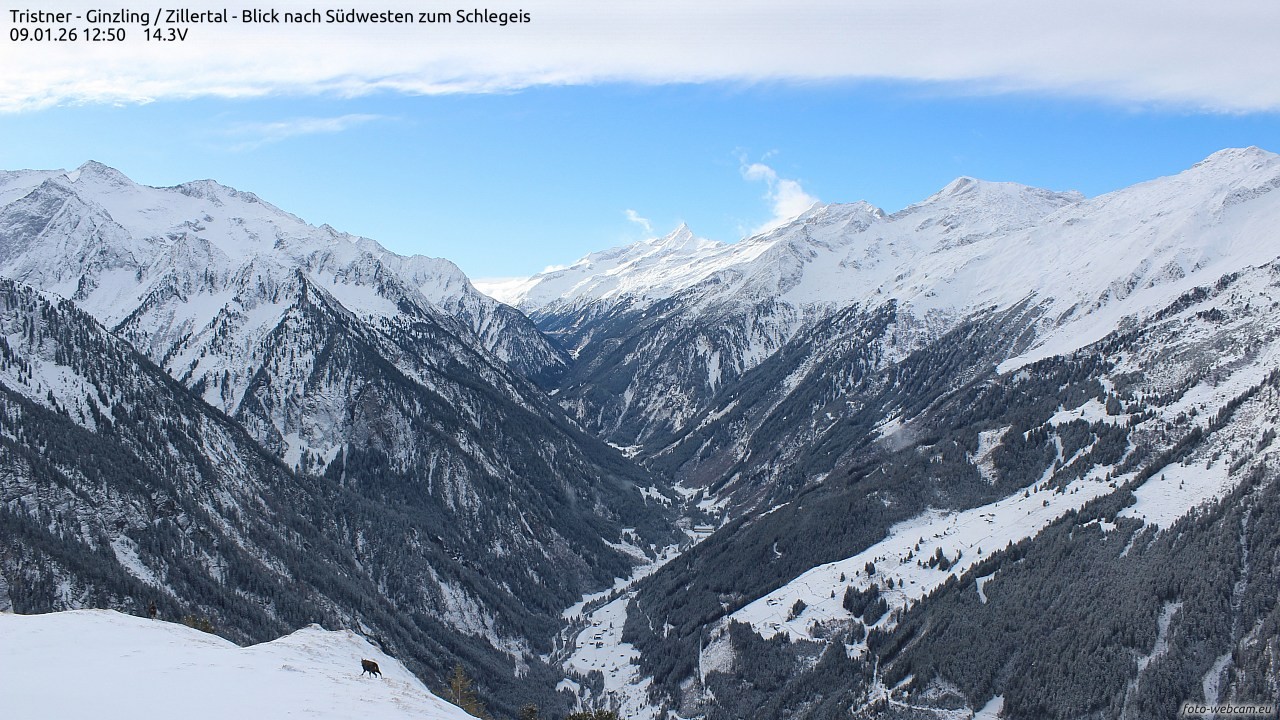 Archiv Foto Webcam Tristner/ Zillertal - Blick zum Grinberg
