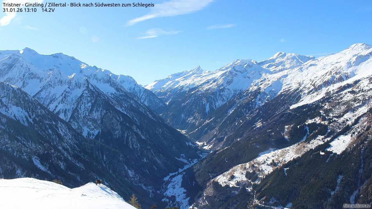 Archiv Foto Webcam Tristner/ Zillertal - Blick zum Grinberg