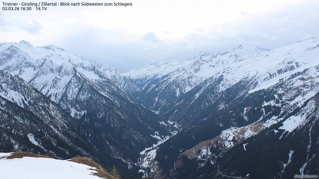 Archived image Webcam Tristner/ Zillertal - View to Grinberg