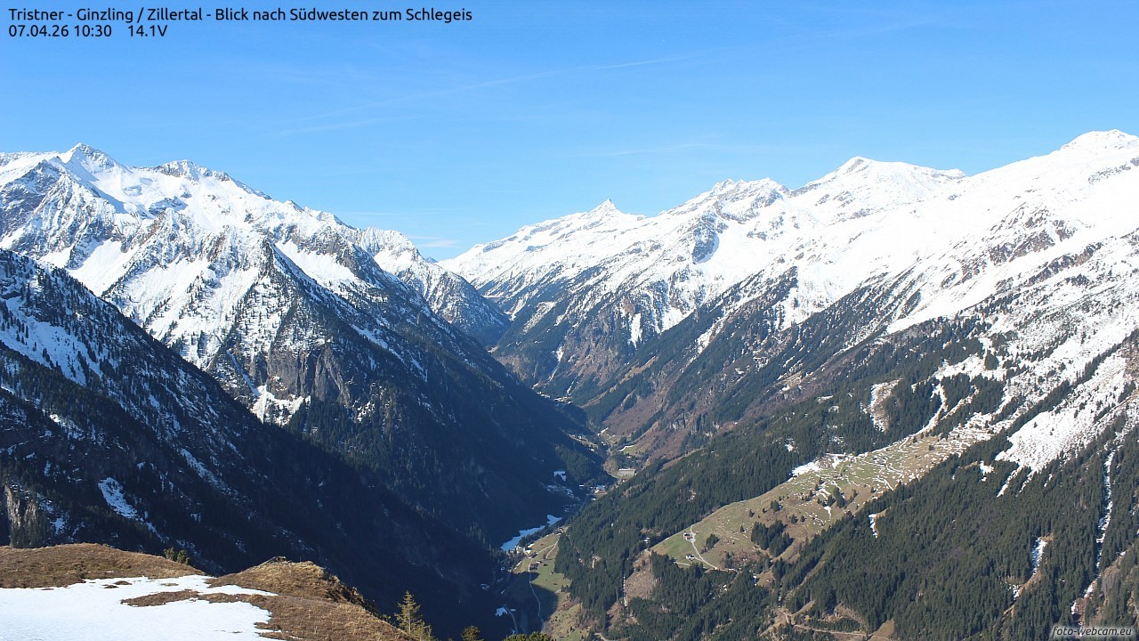 Archived image Webcam Tristner/ Zillertal - View to Grinberg