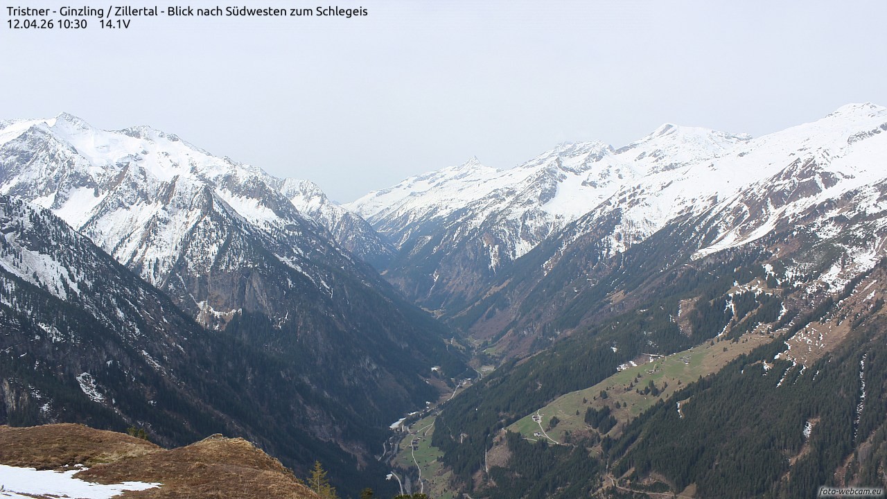 Archived image Webcam Tristner/ Zillertal - View to Grinberg