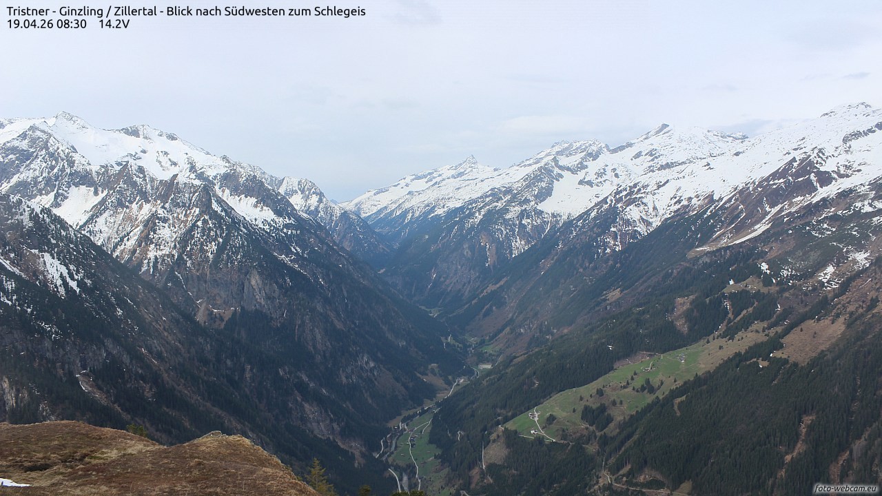 Archiv Foto Webcam Tristner/ Zillertal - Blick zum Grinberg