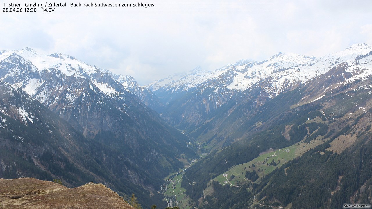 Archiv Foto Webcam Tristner/ Zillertal - Blick zum Grinberg
