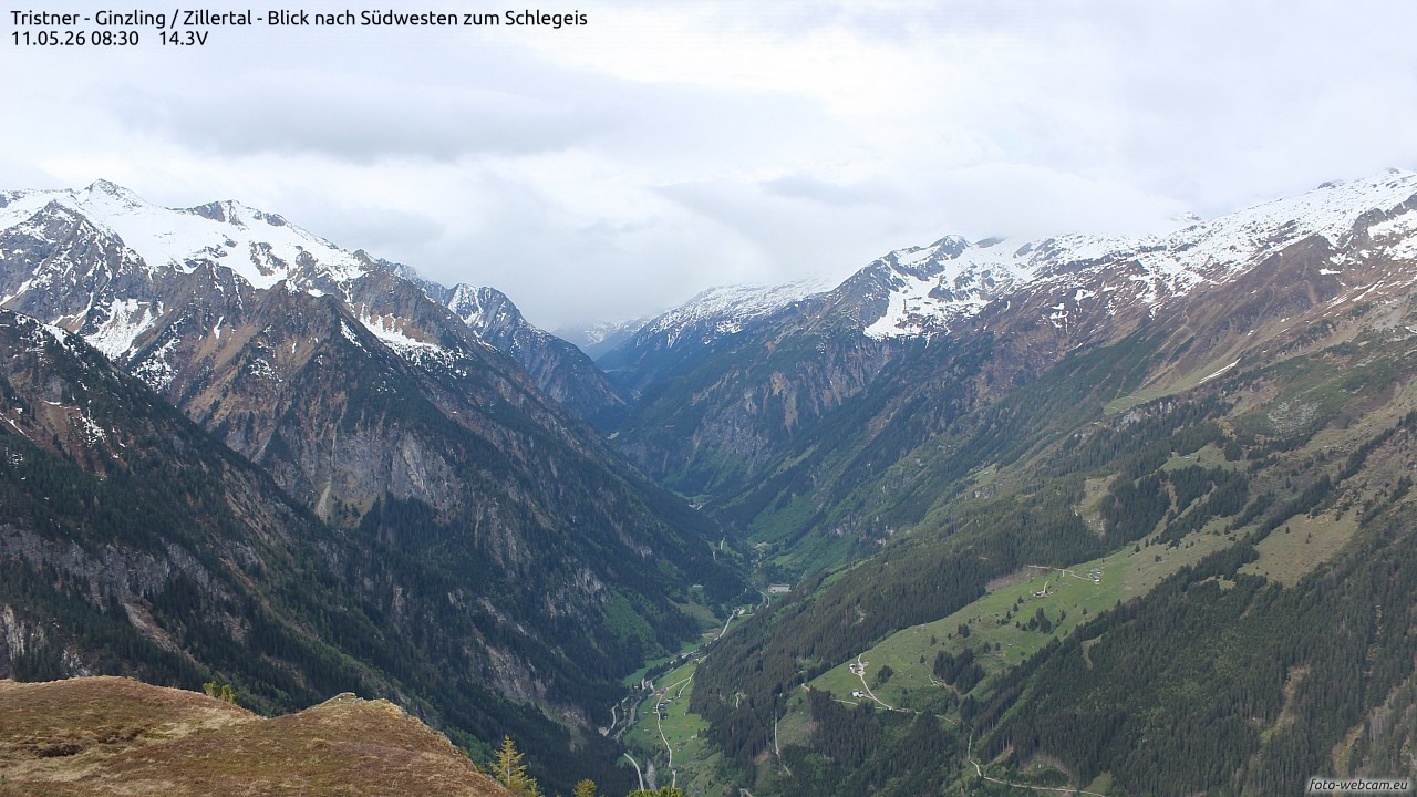 Archiv Foto Webcam Tristner/ Zillertal - Blick zum Grinberg