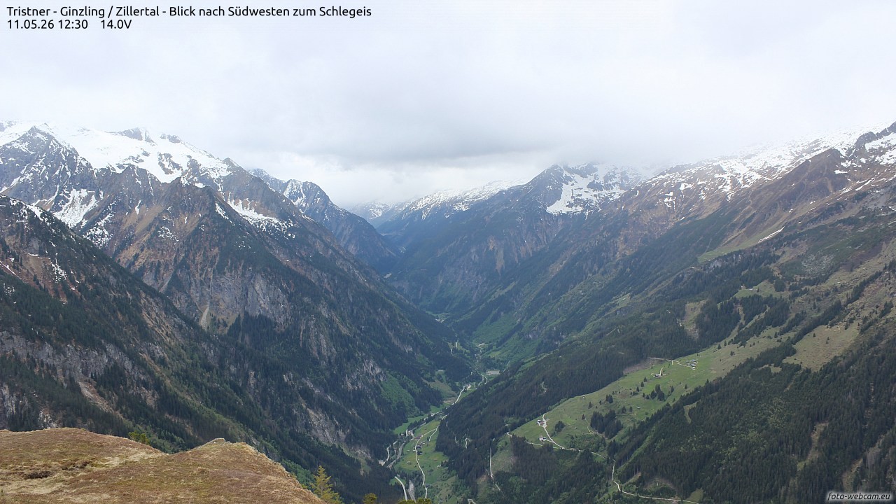 Archiv Foto Webcam Tristner/ Zillertal - Blick zum Grinberg