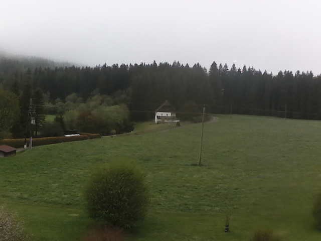 Archived image Webcam Farm Angererhof in Tragöß, Styria (Austria)