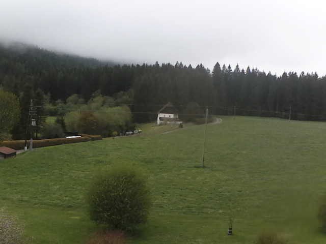 Archived image Webcam Farm Angererhof in Tragöß, Styria (Austria)