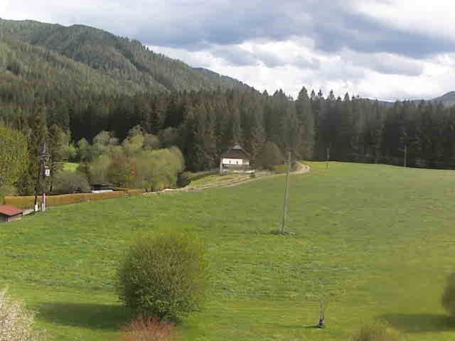 Archived image Webcam Farm Angererhof in Tragöß, Styria (Austria)