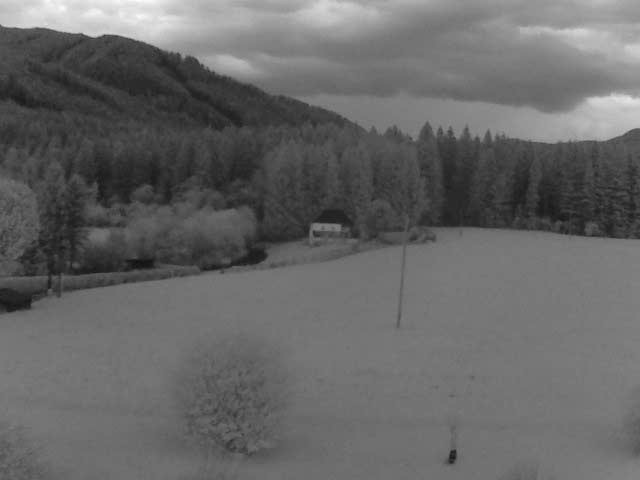 Archived image Webcam Farm Angererhof in Tragöß, Styria (Austria)