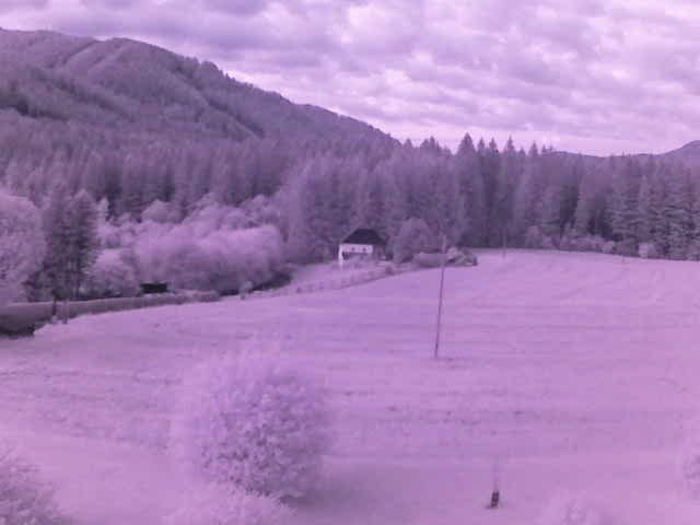Archiv Foto Webcam Tragöß Angererhof - Blick in Richtung Süden