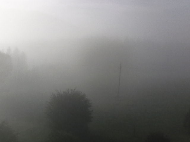Archiv Foto Webcam Tragöß Angererhof - Blick in Richtung Süden