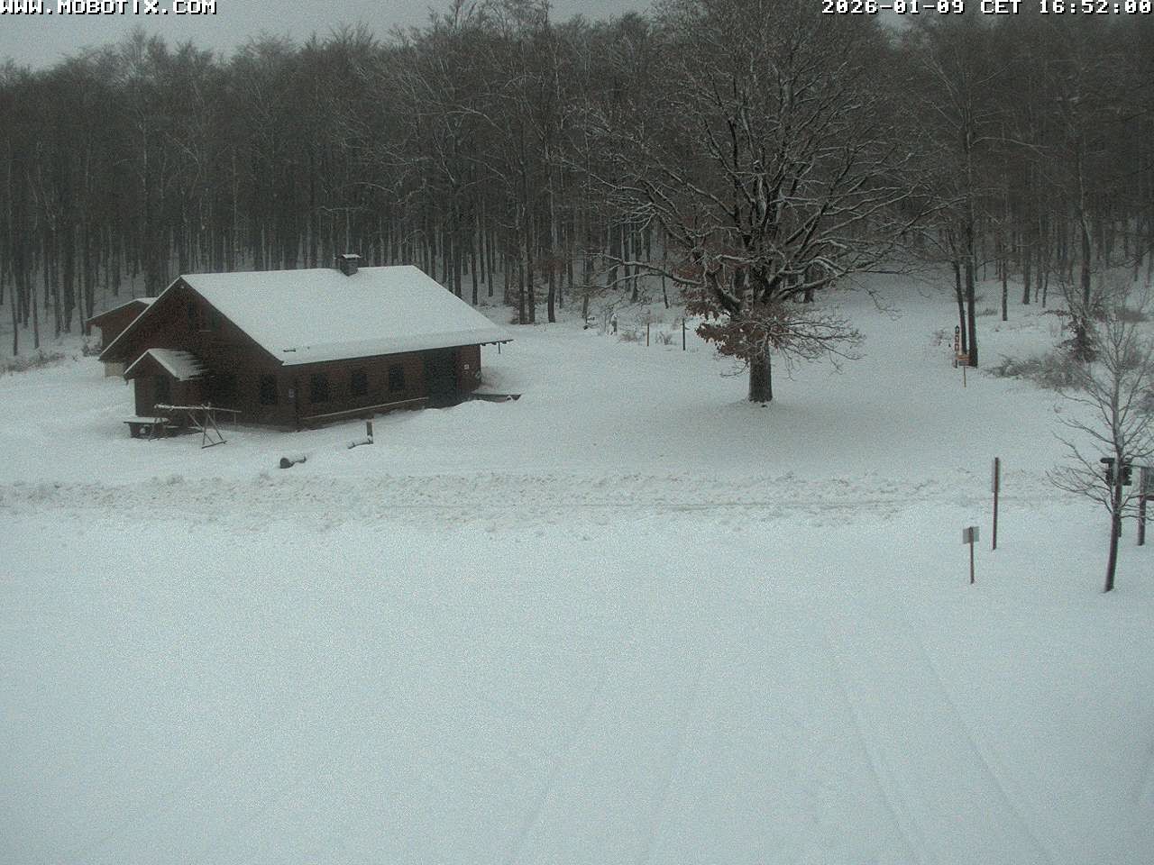 Archived image Webcam Hallenberg - Pastorenwiese