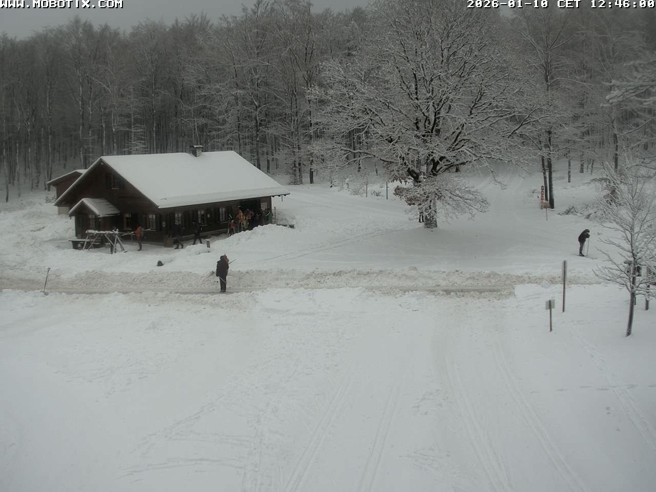 Archiv Foto Webcam Wunderthausen - Pastorenwiese