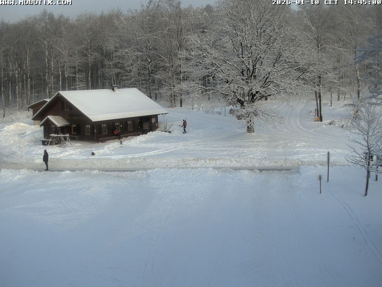 Archiv Foto Webcam Wunderthausen - Pastorenwiese