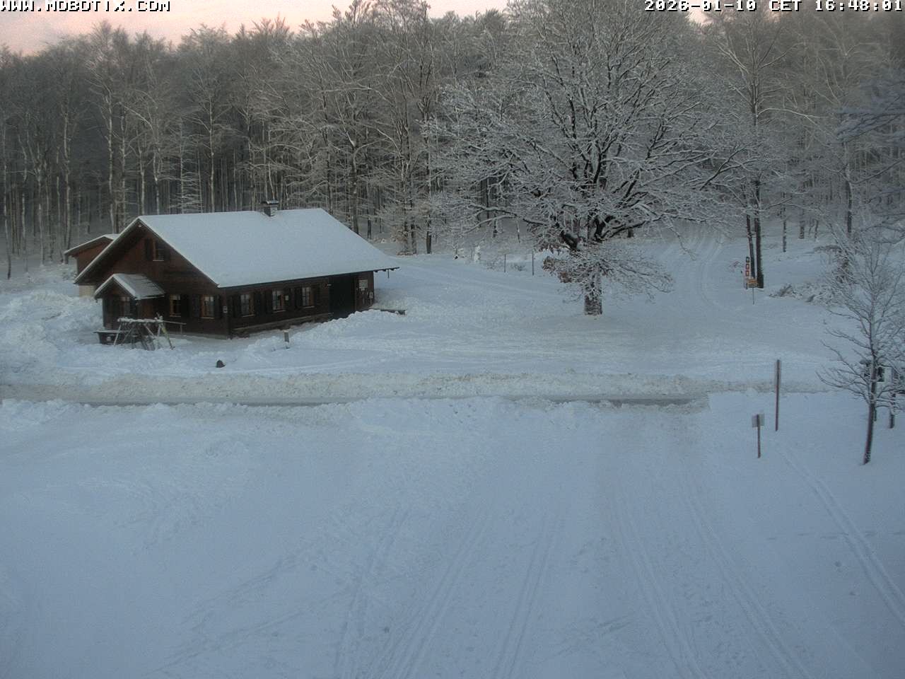 Archiv Foto Webcam Wunderthausen - Pastorenwiese