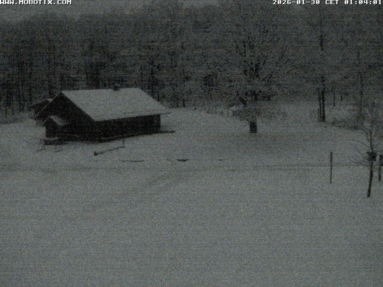 Archived image Webcam Hallenberg - Pastorenwiese