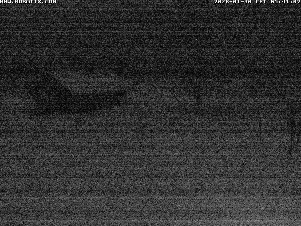 Archived image Webcam Hallenberg - Pastorenwiese