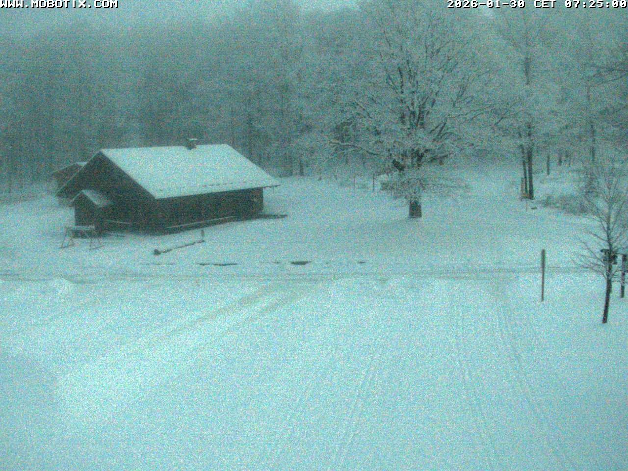 Archived image Webcam Hallenberg - Pastorenwiese