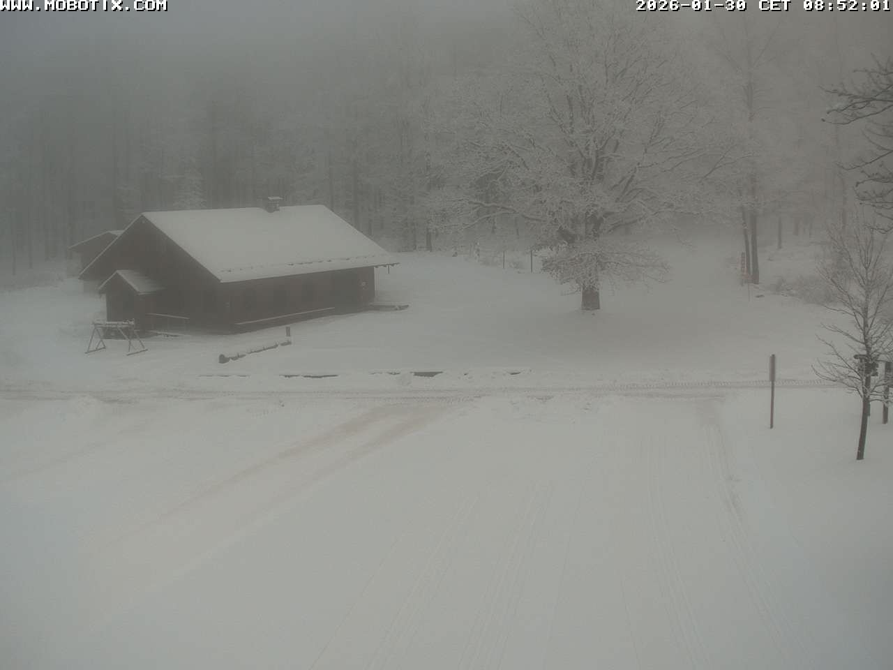 Archived image Webcam Hallenberg - Pastorenwiese